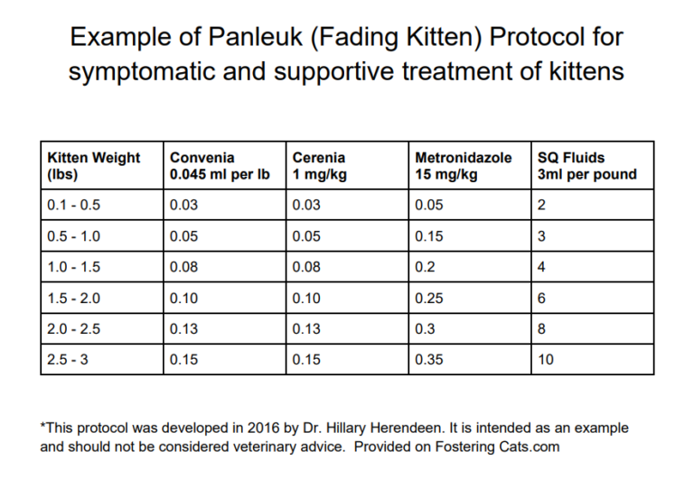 Photo inspiration: Visual Reference: Treating Feline Panleukopenia